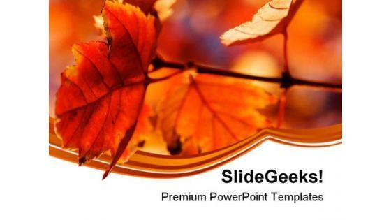 orange_leaves_nature_powerpoint_templates_and_powerpoint_backgrounds_0611_title.jpg