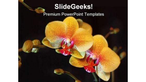 orchid_flower_beauty_powerpoint_backgrounds_and_templates_1210_title.jpg