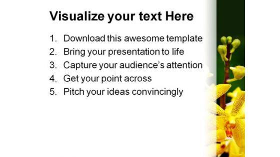 orchids_flower_beauty_powerpoint_themes_and_powerpoint_slides_0511_print.jpg