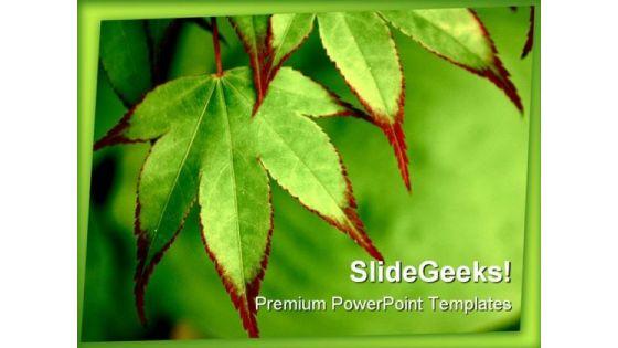 painted_maple_nature_powerpoint_backgrounds_and_templates_1210_title.jpg