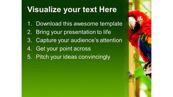 pair_of_parrot_animals_powerpoint_templates_and_powerpoint_themes_0512_text.jpg
