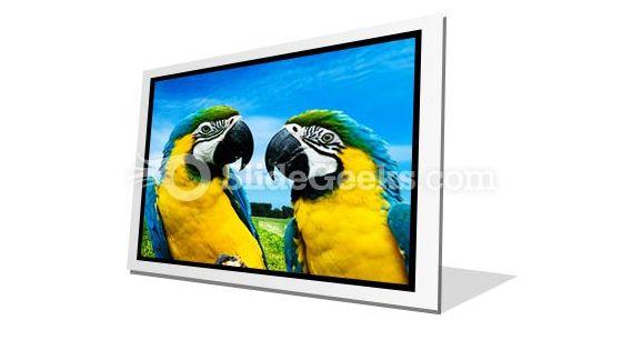 parrots_in_love_powerpoint_icon_f.jpg