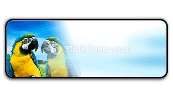 parrots_in_love_powerpoint_icon_r.jpg
