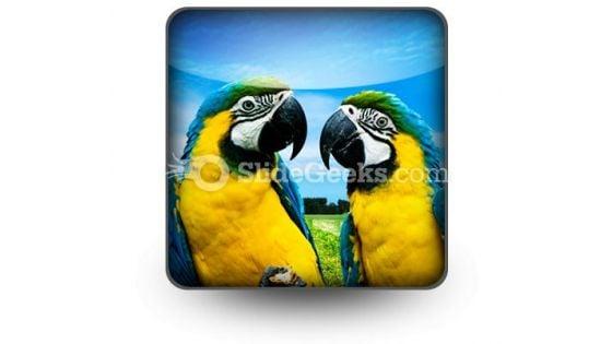 parrots_in_love_powerpoint_icon_s.jpg