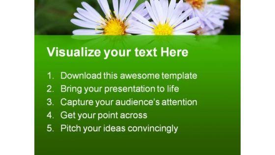 perennial_aster_flowers_nature_powerpoint_templates_and_powerpoint_backgrounds_0211_text.jpg