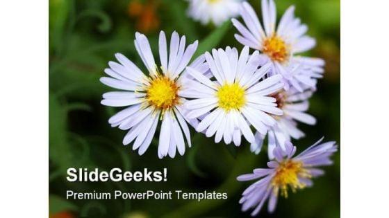 perennial_aster_flowers_nature_powerpoint_templates_and_powerpoint_backgrounds_0211_title.jpg