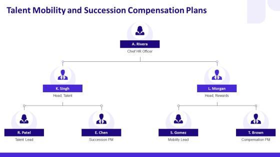Performance Management And Compensation PPT Template VM