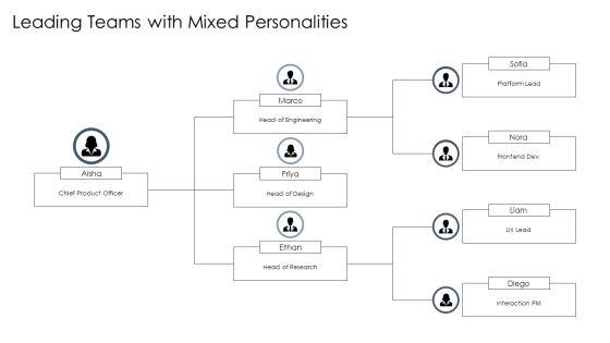 Personality Communication Styles PPT Information VM