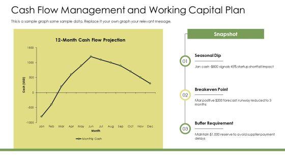 Pet Grooming Business Plan PPT Summary VM
