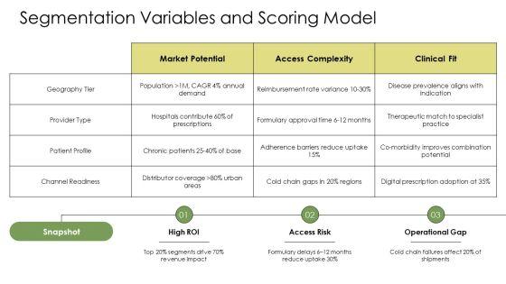 Pharmaceutical Market Segmentation PPT Example VM