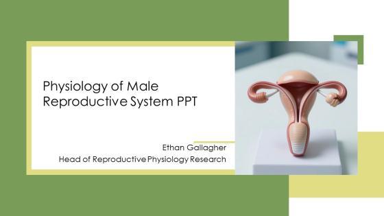 Physiology Of Male Reproductive System PPT Guidelines VM