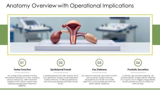Physiology Of Male Reproductive System PPT Guidelines VM