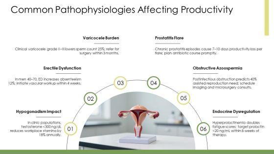 Physiology Of Male Reproductive System PPT Guidelines VM