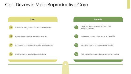 Physiology Of Male Reproductive System PPT Guidelines VM
