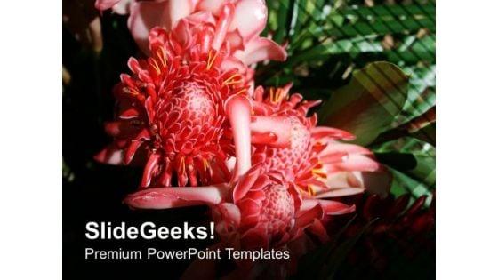 pink_and_unique_flower_nature_theme_powerpoint_templates_ppt_backgrounds_for_slides_0613_title.jpg