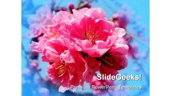 pink_explosion_beauty_powerpoint_templates_and_powerpoint_backgrounds_0311_title.jpg