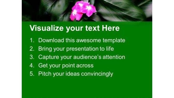 pink_flower_nature_beauty_powerpoint_templates_ppt_backgrounds_for_slides_0513_text.jpg