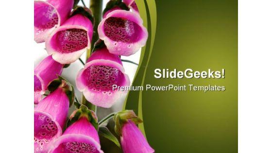 pink_fox_glove_flower_beauty_powerpoint_templates_and_powerpoint_backgrounds_0211_title.jpg