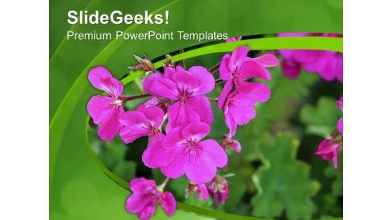 pink_geranium_flower_with_green_background_powerpoint_templates_ppt_backgrounds_for_slides_0613_title.jpg
