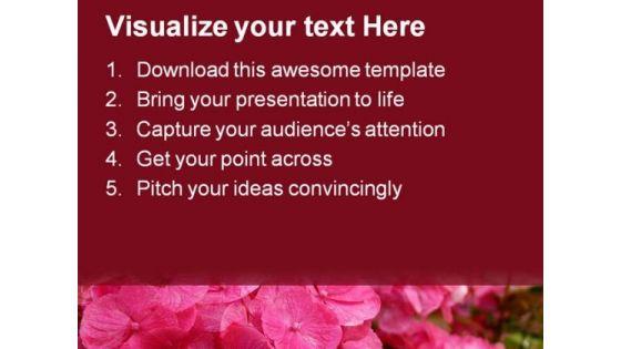 pink_hydrangea_bush_beauty_powerpoint_templates_and_powerpoint_backgrounds_0311_text.jpg