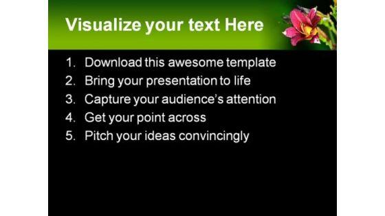 pink_lily_beauty_powerpoint_templates_and_powerpoint_backgrounds_0311_text.jpg