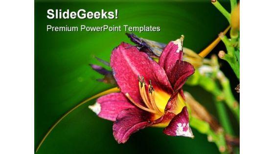 pink_lily_beauty_powerpoint_templates_and_powerpoint_backgrounds_0311_title.jpg