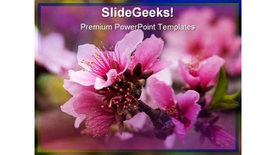 pink_peach_blossom_nature_powerpoint_templates_and_powerpoint_backgrounds_0311_title.jpg