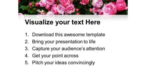 pink_roses_garden_powerpoint_templates_and_powerpoint_themes_0512_print.jpg