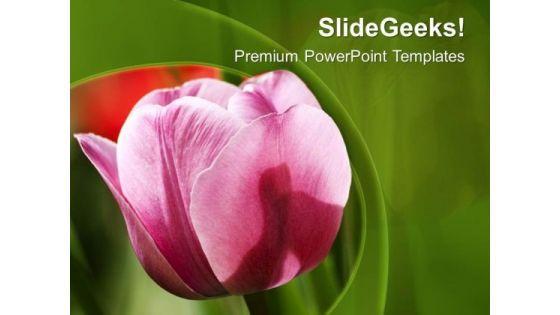 pink_tulip_with_green_background_powerpoint_templates_ppt_backgrounds_for_slides_0713_title.jpg