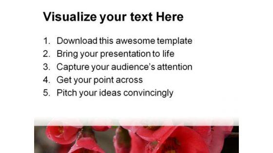 pomegranate_flowers_beauty_powerpoint_templates_and_powerpoint_backgrounds_0211_print.jpg