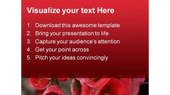 pomegranate_flowers_beauty_powerpoint_templates_and_powerpoint_backgrounds_0211_text.jpg