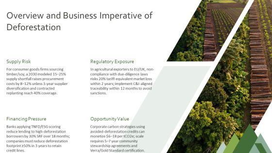PPT On Deforestation PPT Outline VM