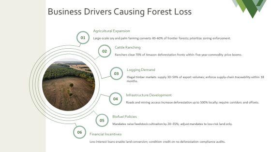 PPT On Deforestation PPT Outline VM