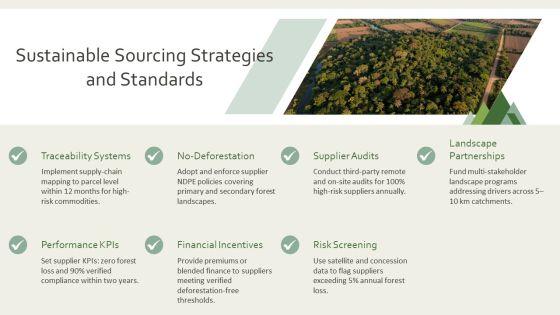 PPT On Deforestation PPT Outline VM