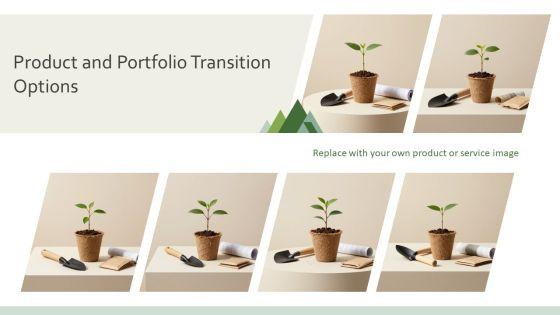 PPT On Deforestation PPT Outline VM