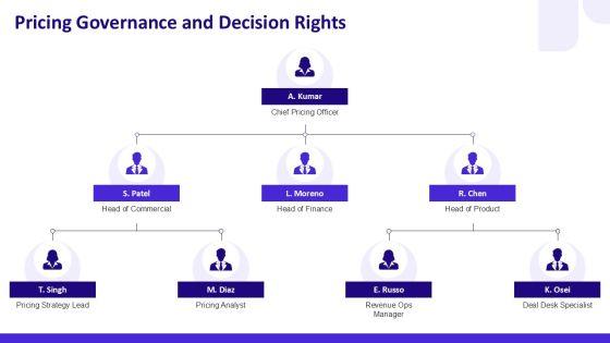 Pricing Strategy For Organizational Role Mapping PPT Slides VM