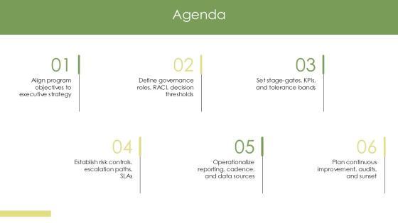 Program Governance Framework PPT Slides VM