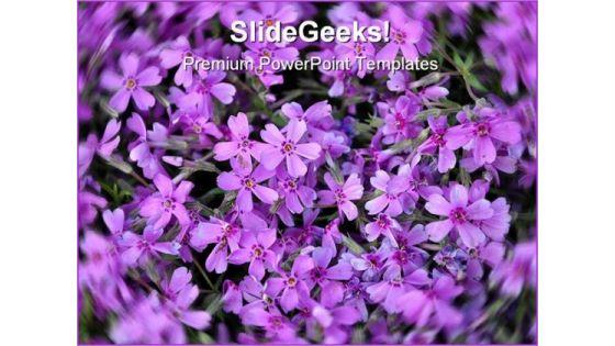 purple_flowers_nature_powerpoint_templates_and_powerpoint_backgrounds_0211_title.jpg