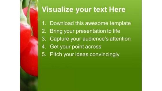 red_and_chilli_pepper_powerpoint_templates_ppt_backgrounds_for_slides_0613_text.jpg