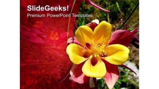 red_and_yellow_floral_abstract_powerpoint_templates_ppt_backgrounds_for_slides_0513_title.jpg