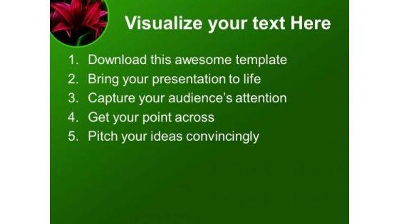red_lily_flower_green_background_powerpoint_templates_ppt_backgrounds_for_slides_0613_text.jpg