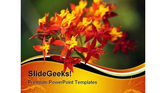 red_orchid_nature_powerpoint_templates_and_powerpoint_backgrounds_0611_title.jpg