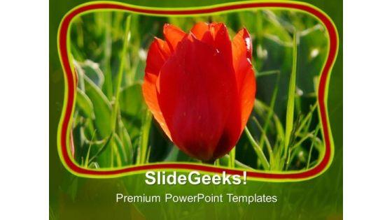 red_tulip_with_green_abstract_background_powerpoint_templates_ppt_backgrounds_for_slides_0713_title.jpg