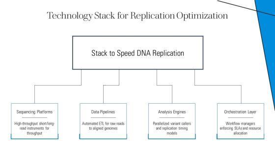 Replication Of Dna PPT PowerPoint VM