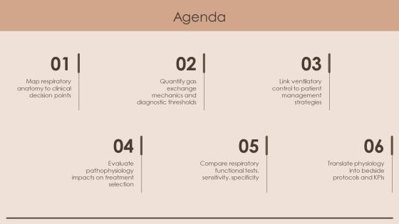 Respiratory System Physiology PPT PowerPoint VM