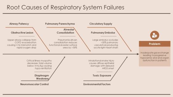 Respiratory System Physiology PPT PowerPoint VM