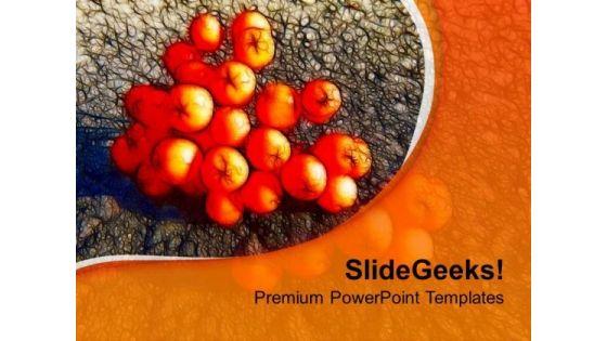 rowenberries_with_orange_background_powerpoint_templates_ppt_backgrounds_for_slides_0613_title.jpg