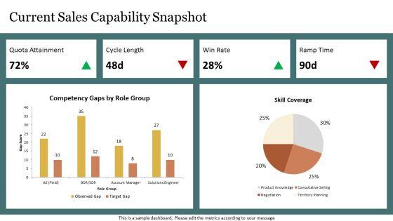 Sales Competency Framework PPT Information VM