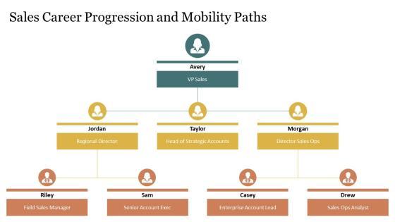 Sales Competency Framework PPT Information VM