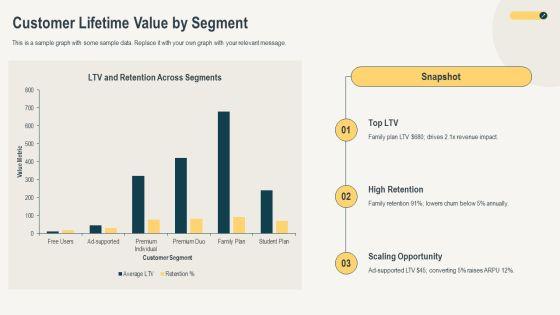 Spotify Customer Segments PPT Slides VM